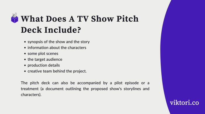 Tv Show Pitch Example Pdf