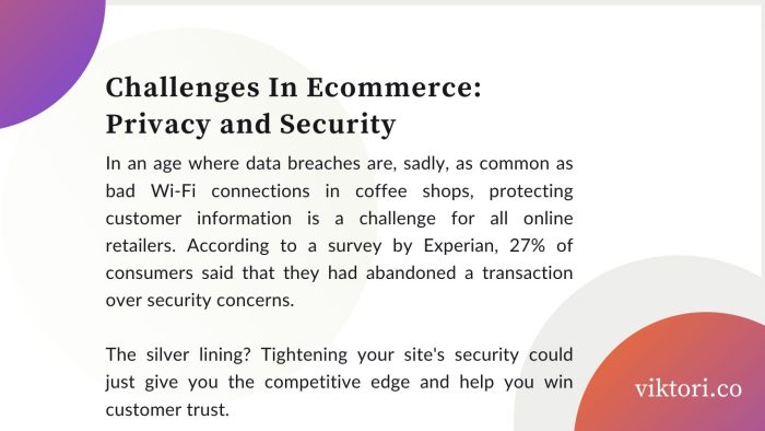 e-commerce strategy guide challenges: privacy and security