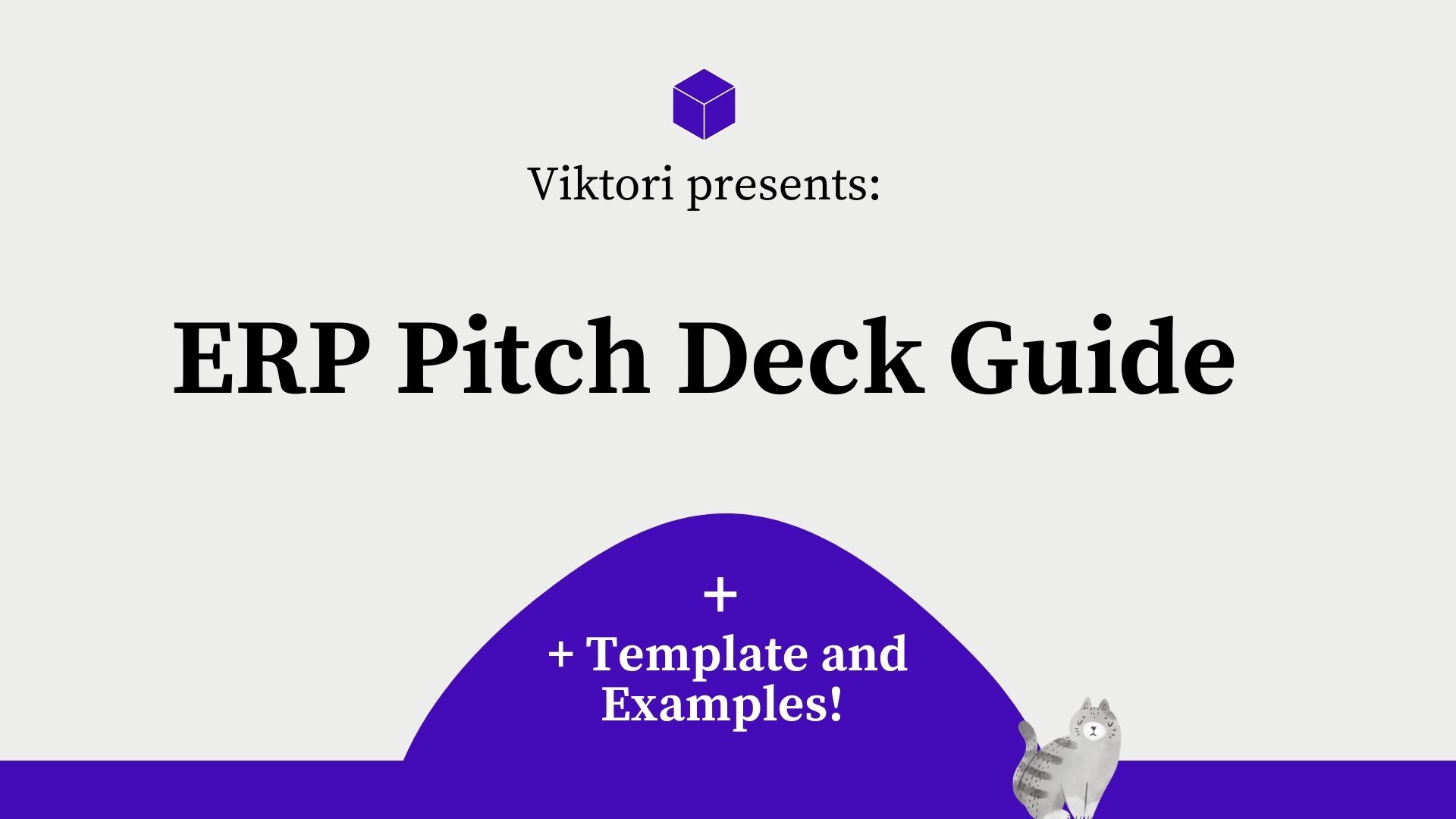 ERP pitch deck guide