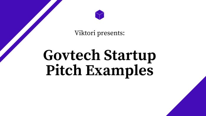 government pitch deck examples