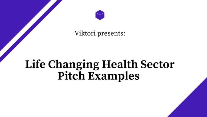 health sector pitch examples