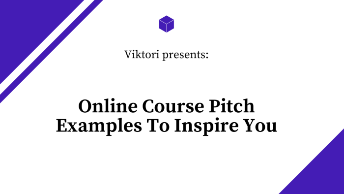 online course pitch examples