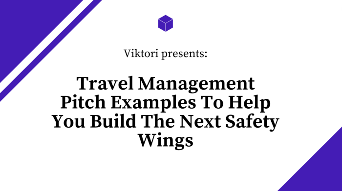 travel management pitch examples