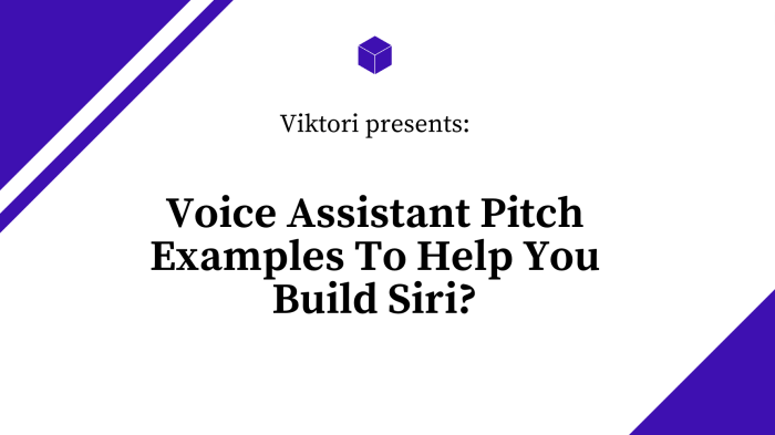 voice assistant pitch examples