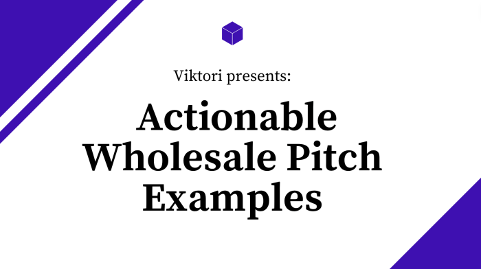wholesale pitch examples