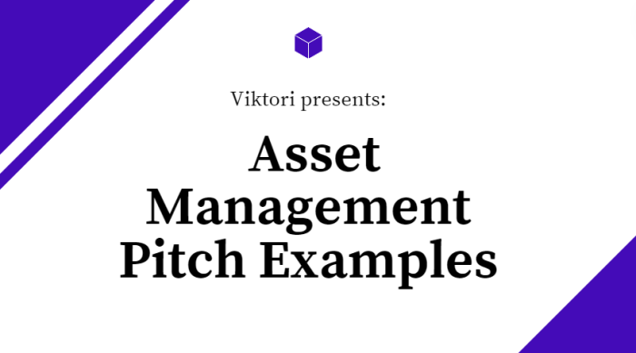 Asset Management Pitch Examples