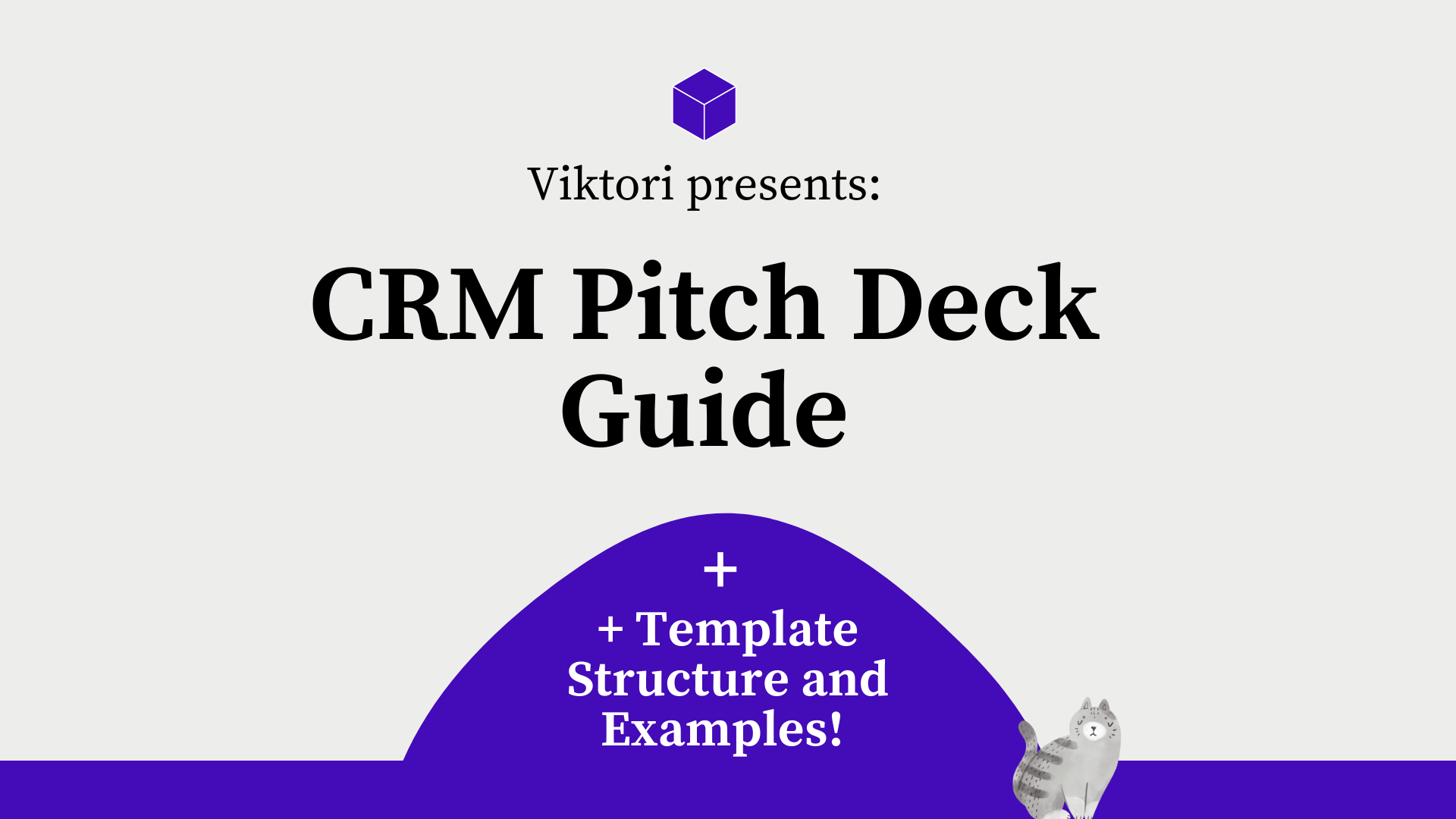 CRM Pitch Deck Guide
