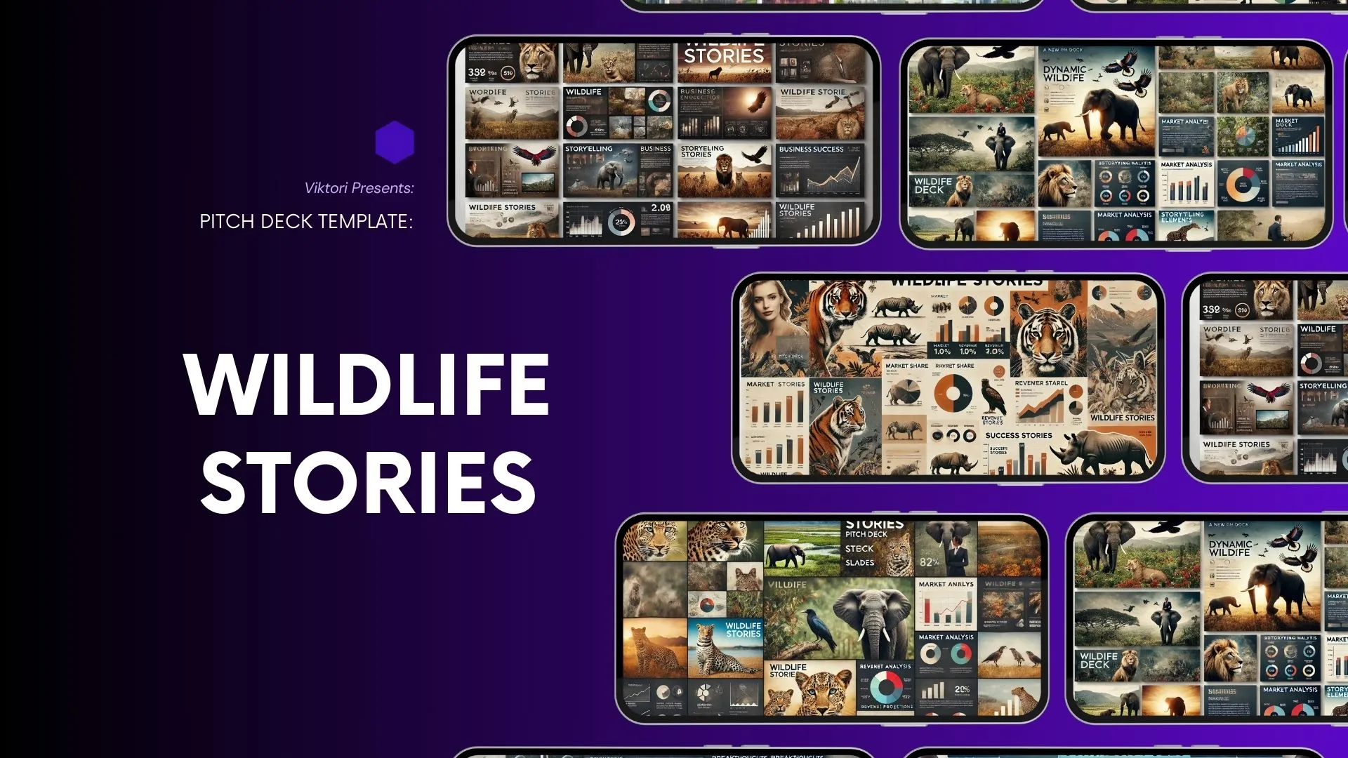 Wildlife stories pitch deck template