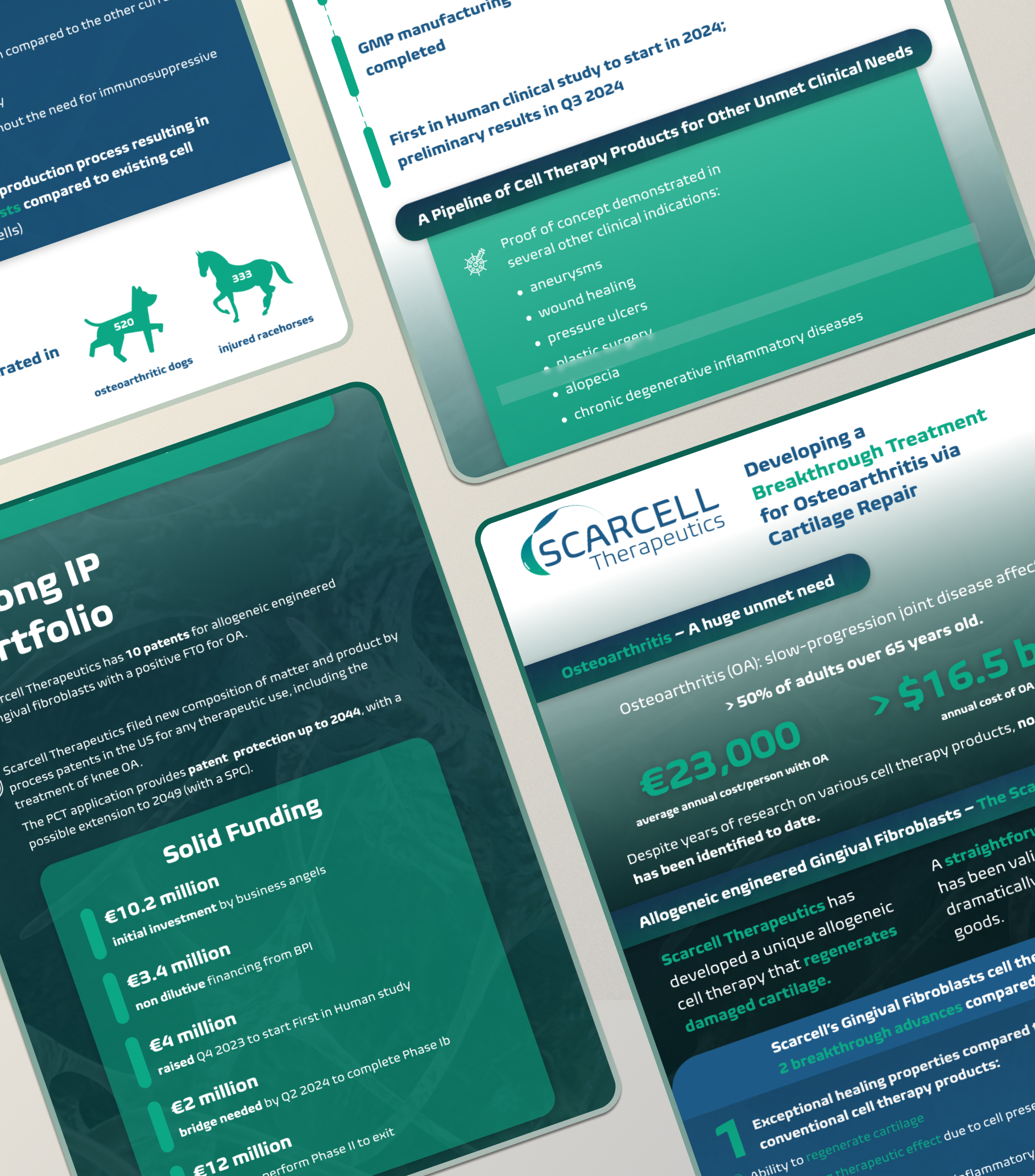 Scarcell Therapeutics One Pager